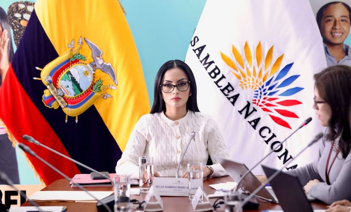 Asambleísta Viviana Veloz exige al ministro de Defensa esclarecer muerte de comunero en paro nacional.