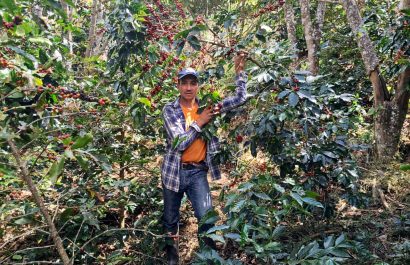 Asambleístas proponen ley para proteger derechos de productores de café en Ecuador