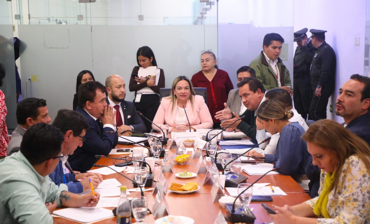 Atención productores: Lo que se viene para la crianza de cuyes en el país