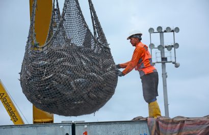 Atunec, organización del sector atunero, califica de 'duro golpe' la eliminación del subsidio al diésel