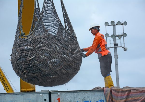 Atunec, organización del sector atunero, califica de 'duro golpe' la eliminación del subsidio al diésel