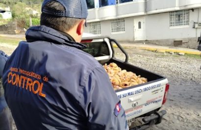 Autoridades clausuran tres camales clandestinos y decomisan más de 3.200 libras de carne en Quito
