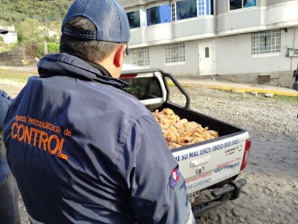 Autoridades clausuran tres camales clandestinos y decomisan más de 3.200 libras de carne en Quito