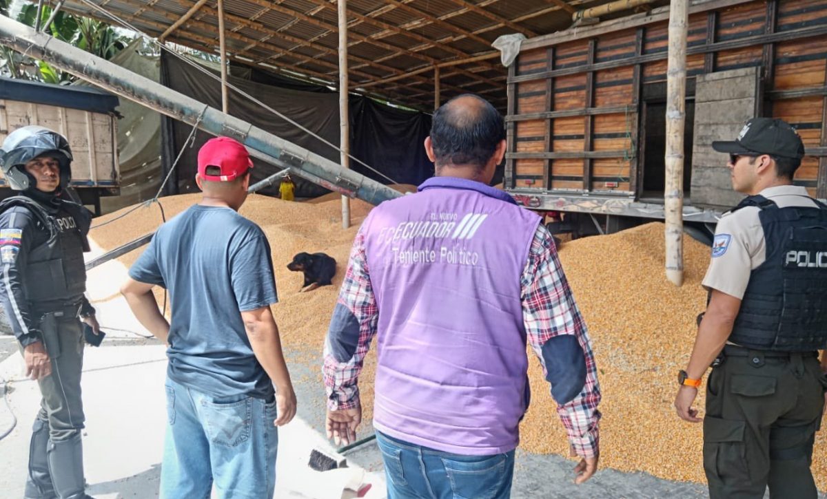 Autoridades coordinan 25 operativos en Manabí para el control de la comercialización de maíz amarillo duro