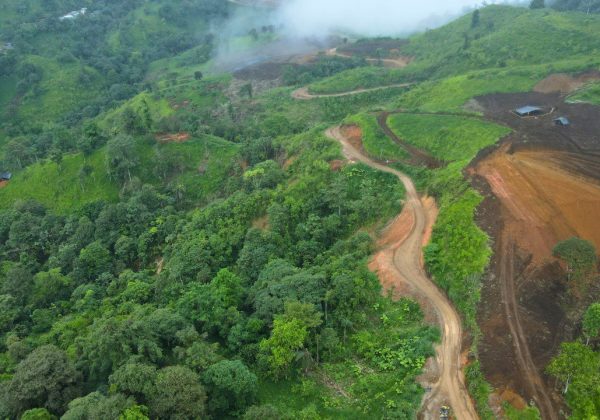 Azuay : Campesinos alertan sobre despojo de tierras y daños ambientales en páramos