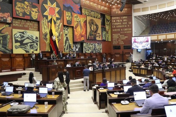 Bancada de Revolución Ciudadana apela la presidencia de Niels Olsen en la Asamblea tras un polémico pedido. (Asamblea Nacional).