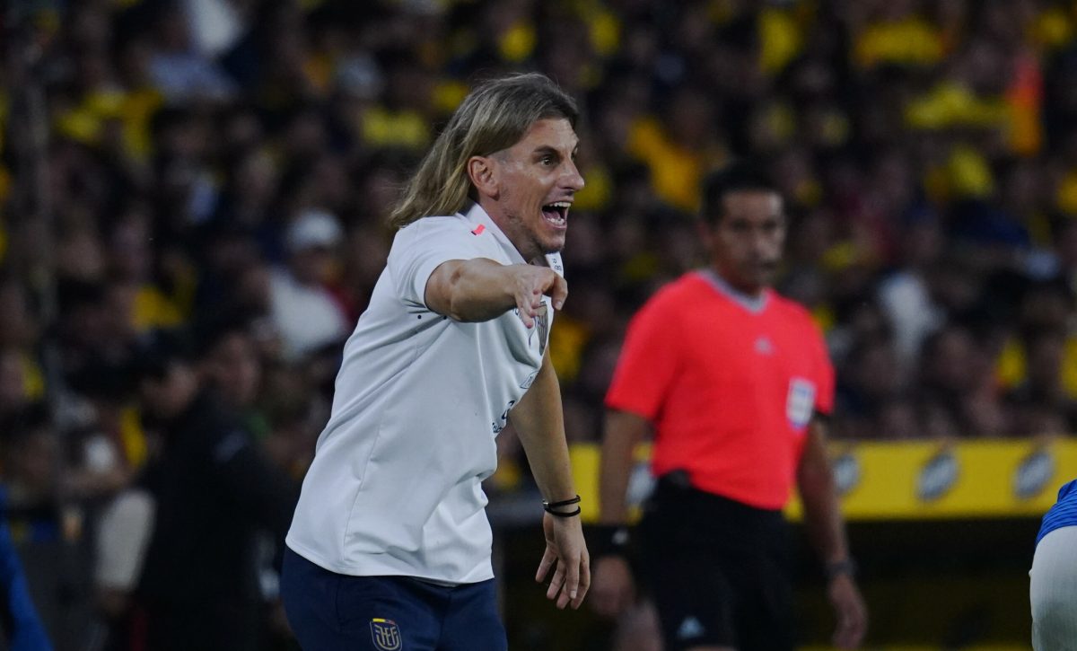 Beccacece valora esfuerzo de Ecuador tras igualar con Brasil en Guayaquil