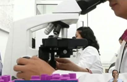 Brote de fiebre amarilla podría expandirse