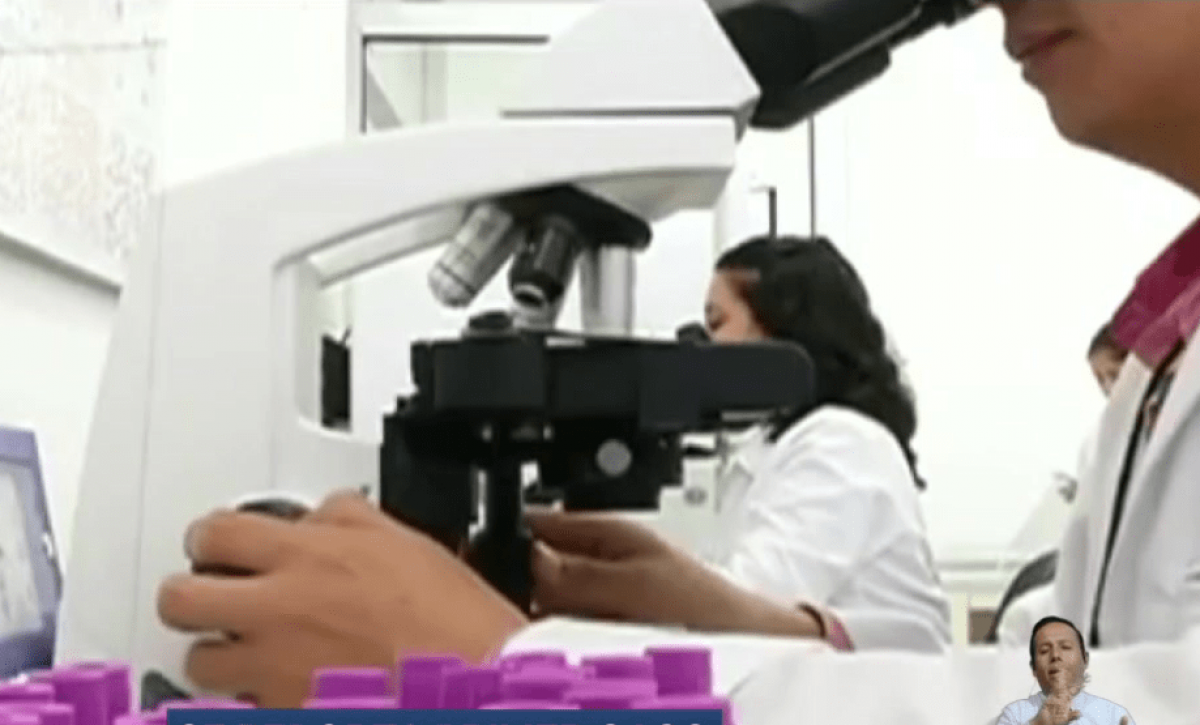 Brote de fiebre amarilla podría expandirse