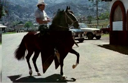 Tal fue el amor que Gonzalo Rodríguez Gacha, alias "El Mexicano", sentía por su caballo, que mandó construirle un establo de más de 25 metros cuadrados, equipado con todas las comodidades.