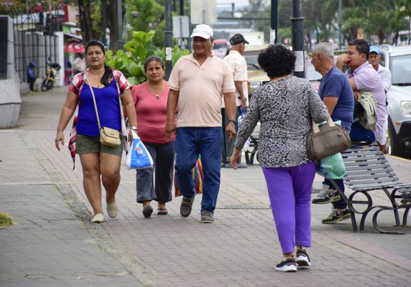 Los alto índices de inseguridad, ha ocasionado que muchas personas se interesen por este seguro.