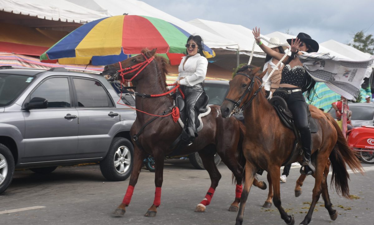 Cabalgata ganadera de Santo Domingo se realizará con estrictas medidas de seguridad, afirma la Asogan