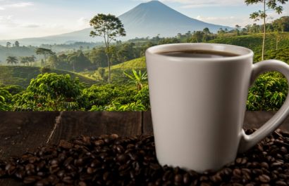 Café ecuatoriano: A pesar de la caída en exportaciones, el mercado de especialidad abre una ventana de rescate. (Imagen de Pexels mejorada con la inteligencia artificial de Gemini, de Google)