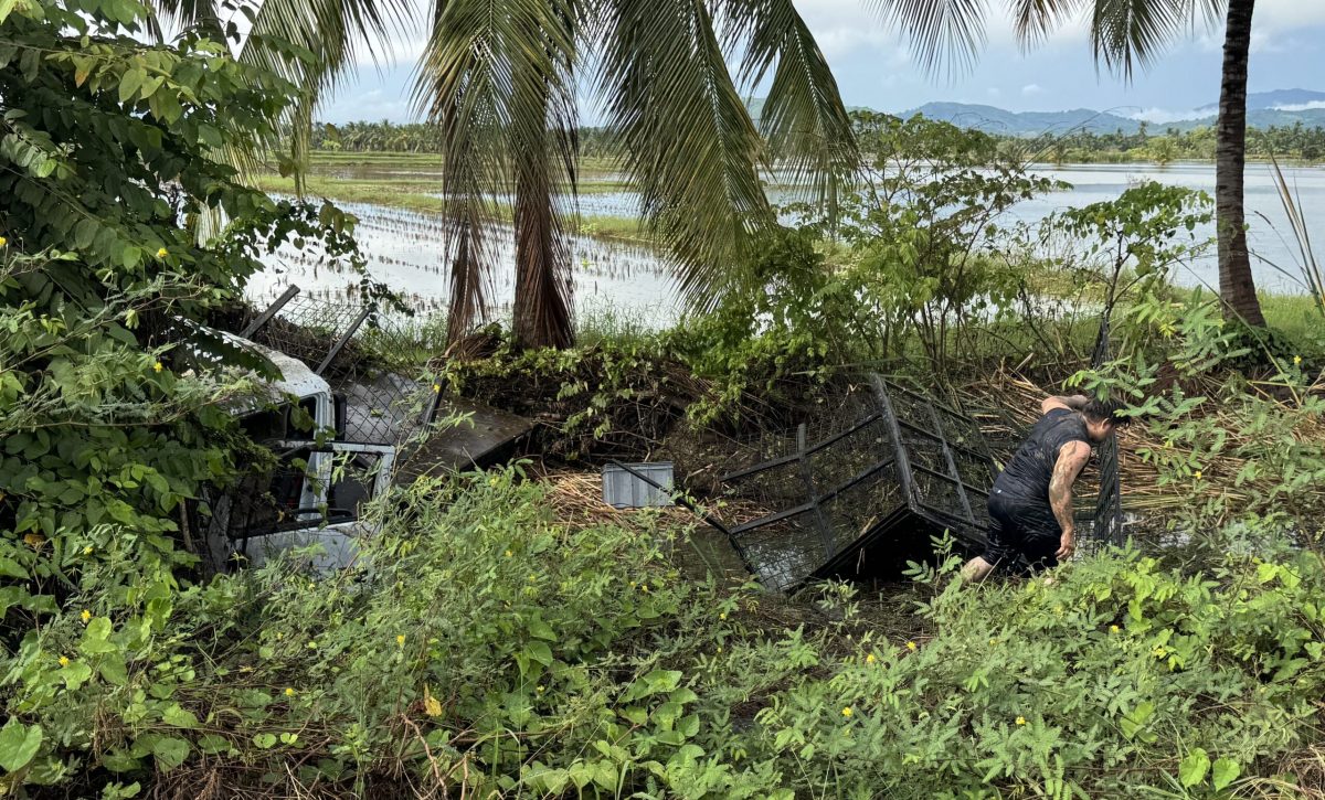 Camión vuela a una zanja en la vía Rocafuerte - Tosagua
