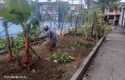 Cansados de Esperar Moradores de Portoviejo transforman sus áreas verdes