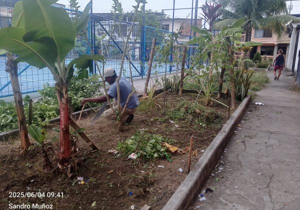 Cansados de Esperar Moradores de Portoviejo transforman sus áreas verdes