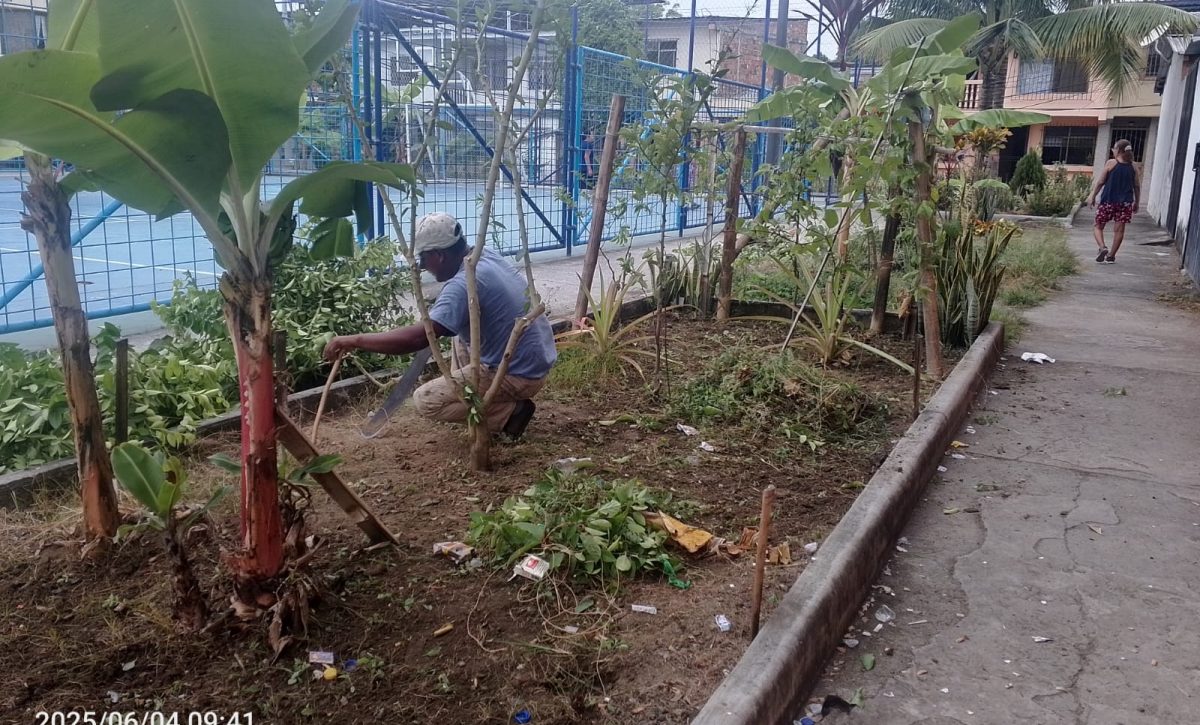Cansados de Esperar Moradores de Portoviejo transforman sus áreas verdes
