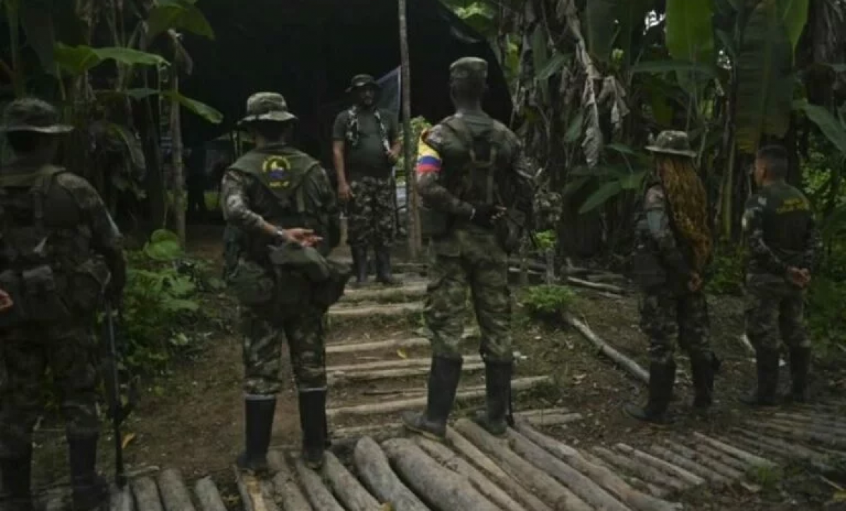 Capturan en Cali a cabecilla de las FARC por secuestro de menor y ataques terroristas