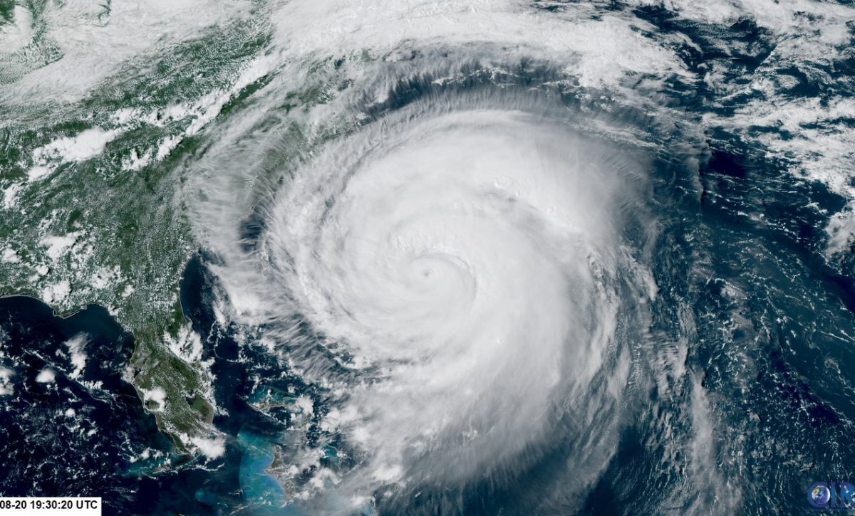 Carolina del Norte en alerta por el huracán Erin y sus efectos costeros