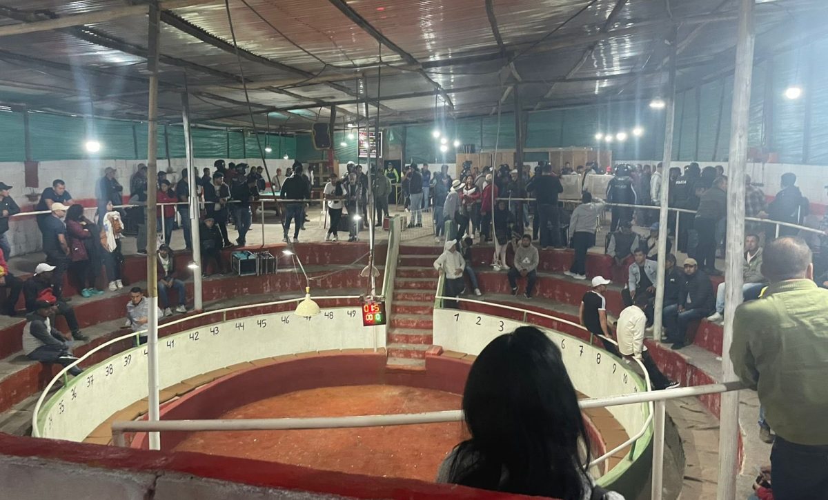 Clausurada gallera clandestina en Quito con menores y antecedentes penales