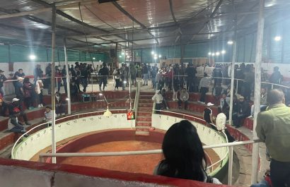 Clausurada gallera clandestina en Quito con menores y antecedentes penales
