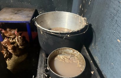 Clausuran una peladora de pollos clandestina en Santo Domingo por operar en condiciones insalubres