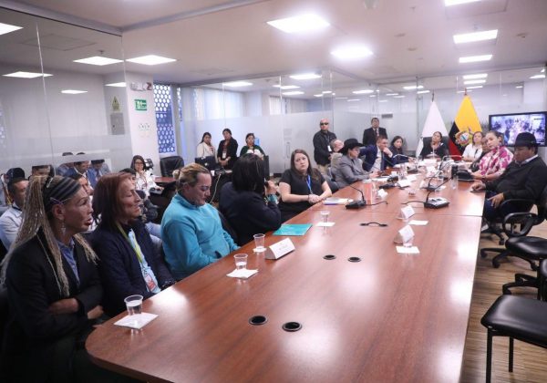 Comisión de Educación evalúa reformas a la ley de artistas en Ecuador