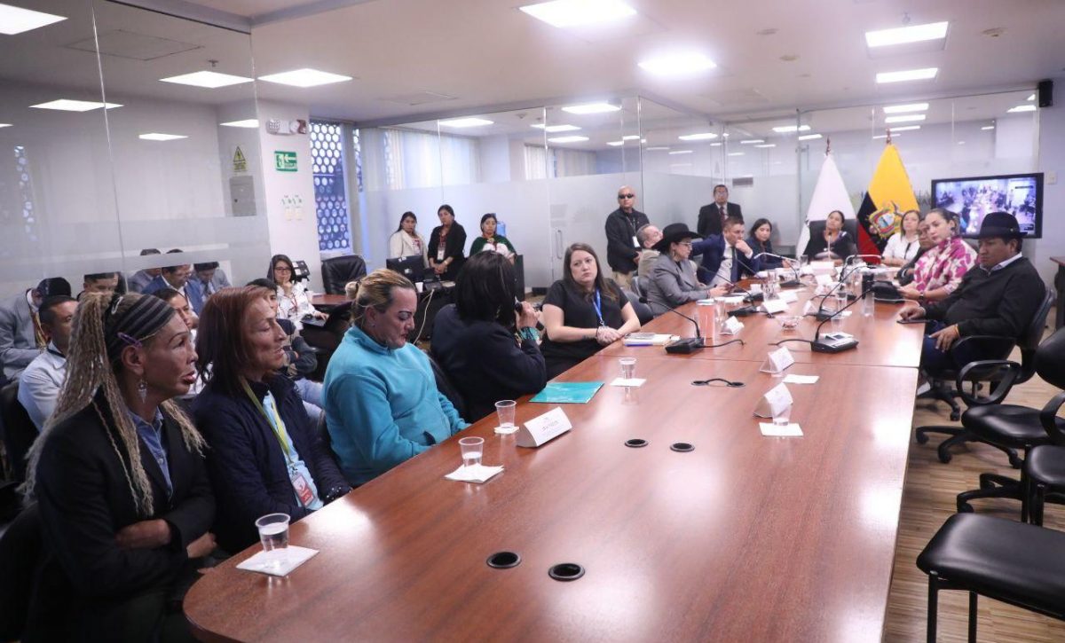 Comisión de Educación evalúa reformas a la ley de artistas en Ecuador