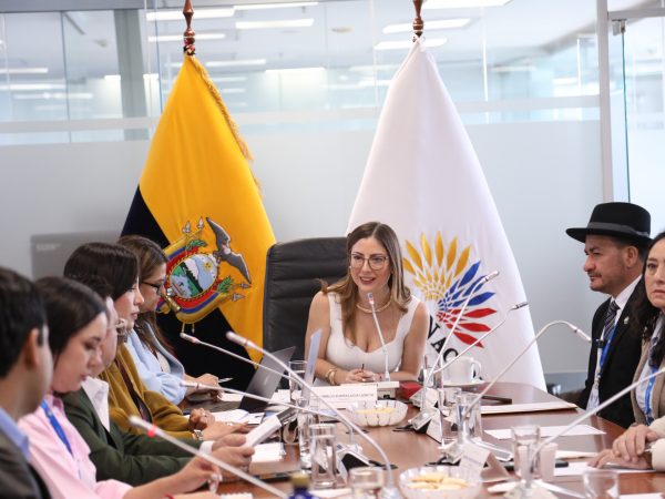 Comisión de Relaciones Internacionales prorroga estudio de reforma a Ley de Movilidad Humana