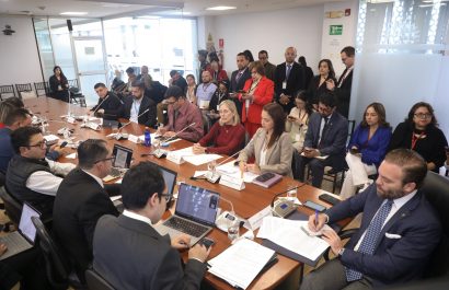 Comisión de Salud prioriza proyectos clave en cáncer, diabetes y deporte para 2025