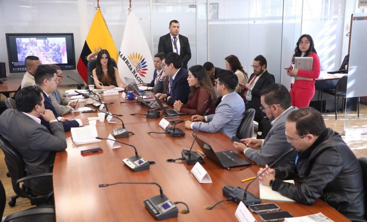 Comisión de Transparencia y Participación Ciudadana: plazos de designación de autoridades requieren regulación clara