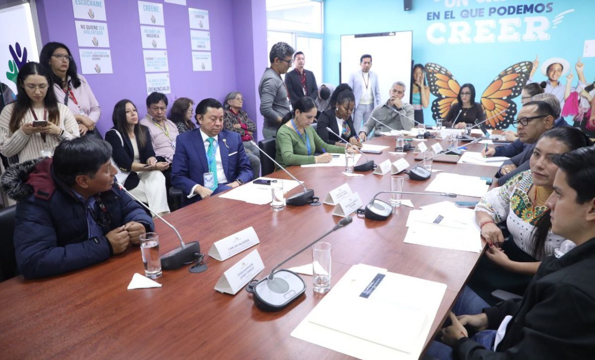 Comisión de la Niñez prioriza reformas al CONA y fiscalización en plan 2025-2027
