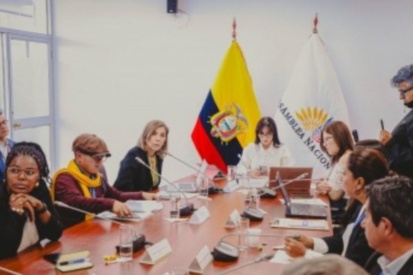 Comisión de la Niñez promueve fiscalización a entidades del sistema judicial por casos de violencia a menores de edad sin sentencia. (AN).