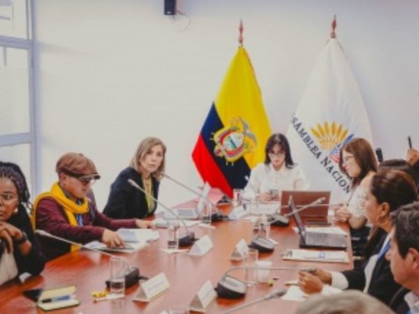 Comisión de la Niñez promueve fiscalización a entidades del sistema judicial por casos de violencia a menores de edad sin sentencia. (AN).