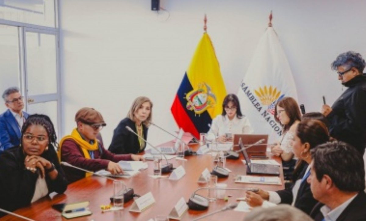 Comisión de la Niñez promueve fiscalización a entidades del sistema judicial por casos de violencia a menores de edad sin sentencia. (AN).