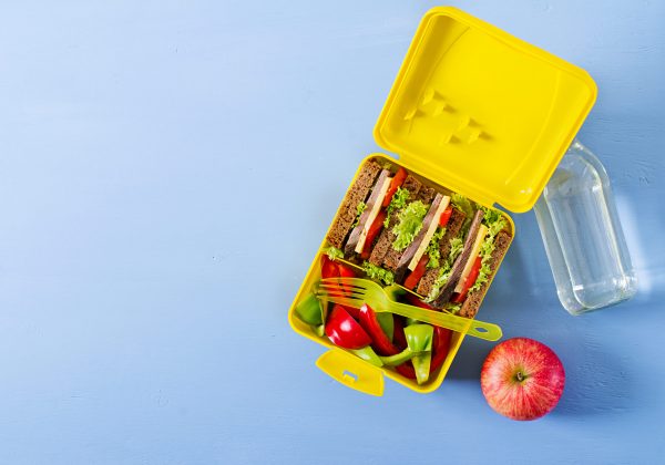 Cómo preparar loncheras saludables para tus hijos Guía práctica