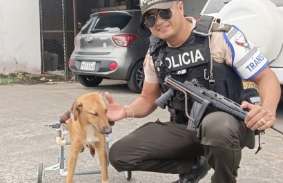 Con materiales reciclados y la ayuda de sus compañeros, Vélez diseñó un dispositivo que permitió al perrito volver a caminar.