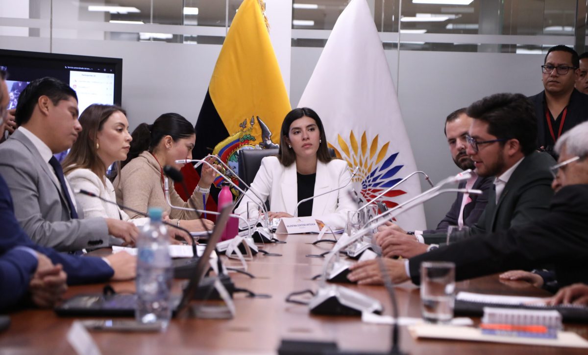 Con respaldo parcial del correísmo se aprueba informe para primer debate de ley contra la economía criminal
