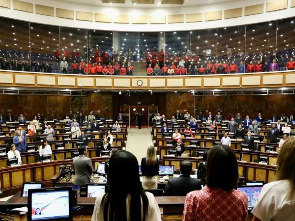 Conozca cómo estará conformada la Asamblea Nacional y cuáles son las alianzas y bloques que han surgido en el poder legislativo. Asamblea Nacional.