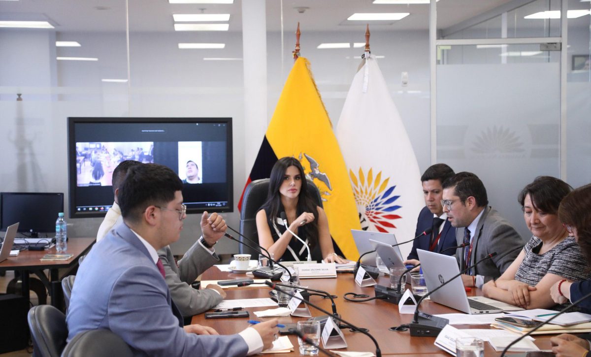 Consejo de la Judicatura registra 15.724 procesos por violencia infantil entre 2014 y 2025