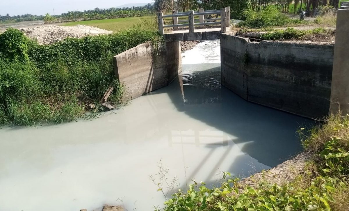 Contaminación en canal Mesías