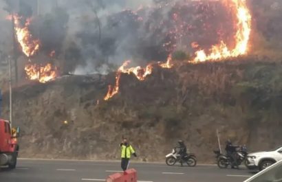 Corte ratifica sentencia contra autor de incendio forestal en Guápulo