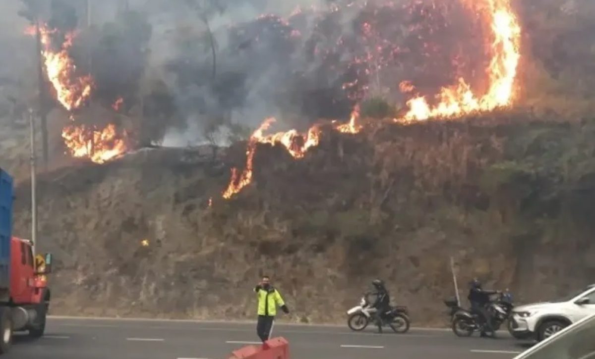 Corte ratifica sentencia contra autor de incendio forestal en Guápulo
