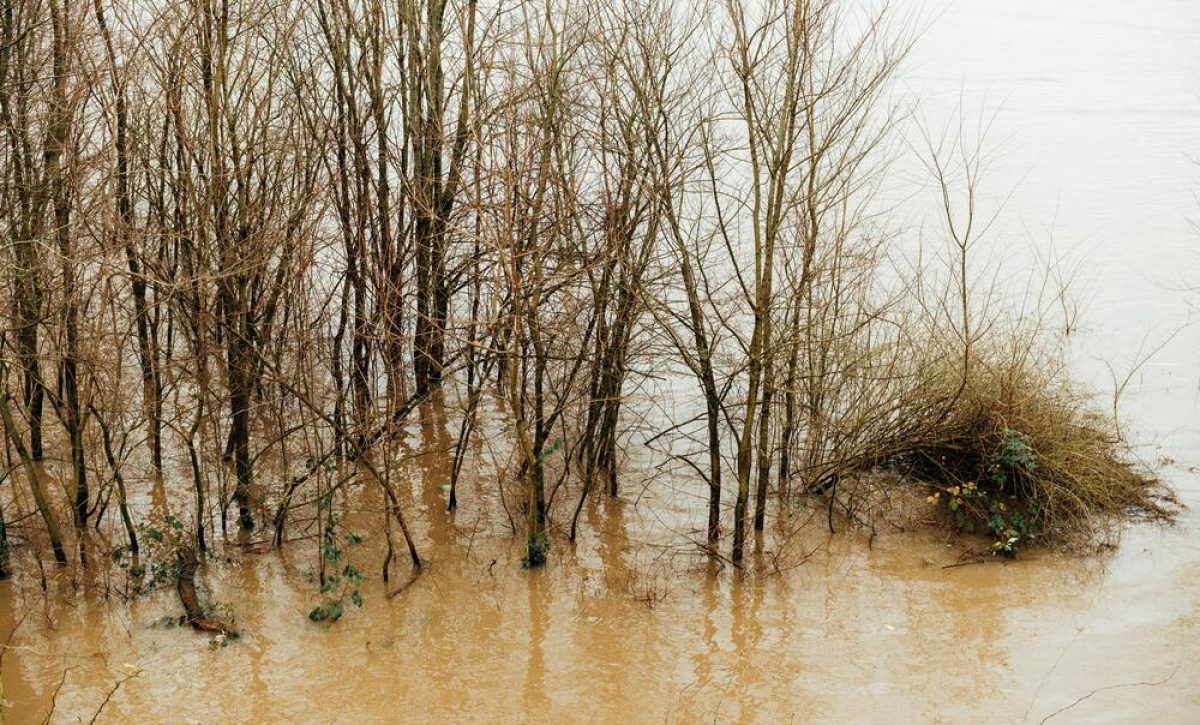 Crecida del río Guadalupe en Texas deja al menos 27 muertos y decenas de niñas desaparecidas