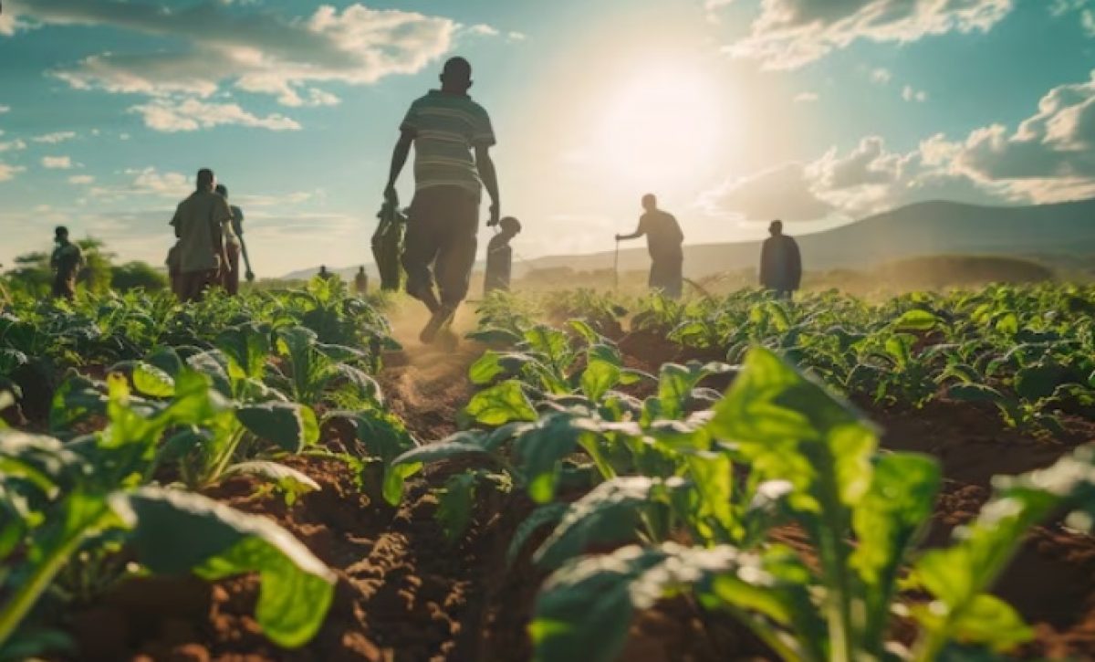 Crédito productivo en Ecuador crece 15,7 % en agosto de 2025, apoyando a agricultores y emprendedores