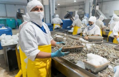 ¿Cuál es el impacto de los aranceles en la industria del camarón de Ecuador tras medidas impuestas por Estados Unidos y México?