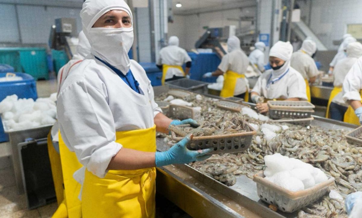 ¿Cuál es el impacto de los aranceles en la industria del camarón de Ecuador tras medidas impuestas por Estados Unidos y México?