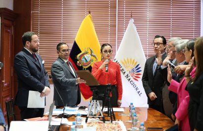 David Rosero asume vocalía principal en el Consejo de Participación Ciudadana tras controversia legal.
