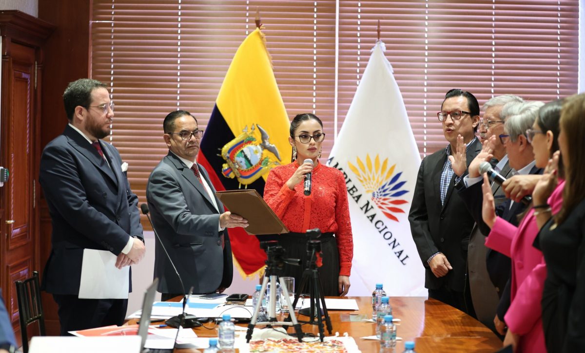 David Rosero asume vocalía principal en el Consejo de Participación Ciudadana tras controversia legal.
