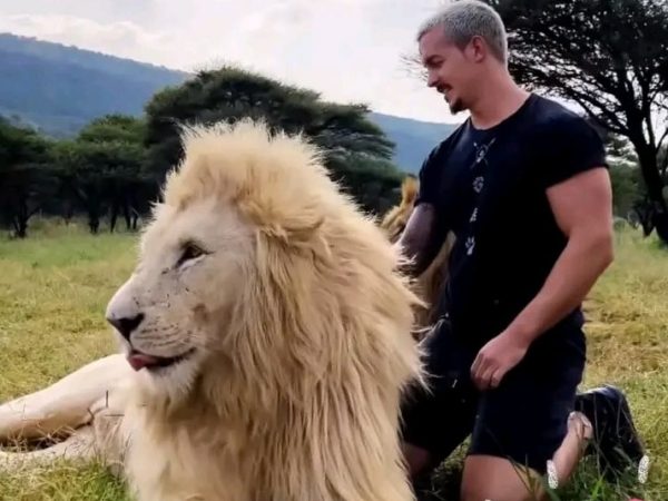 Dean Schneider, un exfinancista suizo, ha transformado su vida al fundar Hakuna Mipaka Oasis. Se trata de un santuario de 400 hectáreas